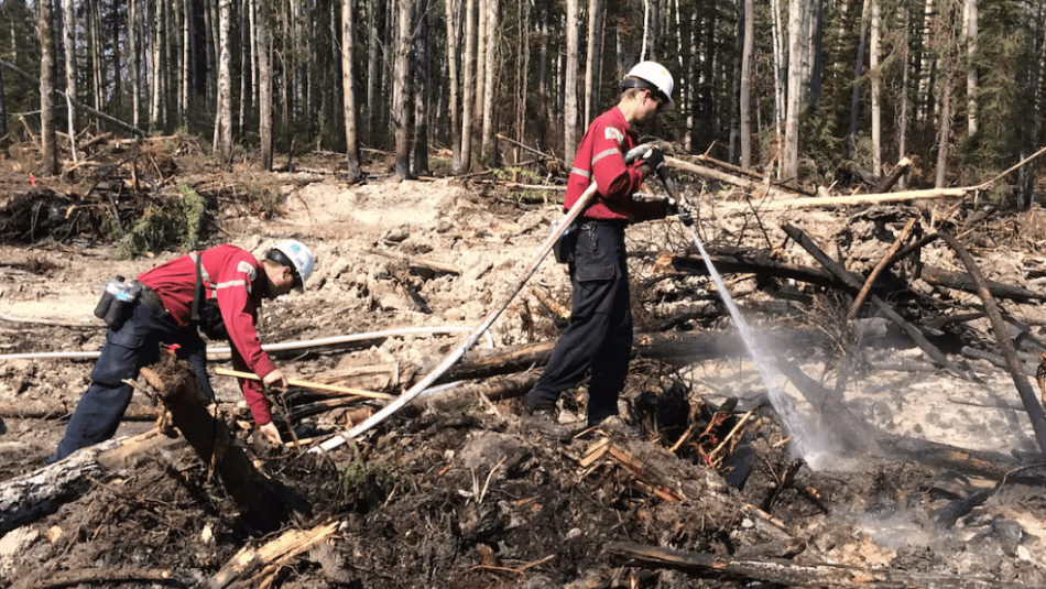 Firefighters with a water hose in a brunt forest