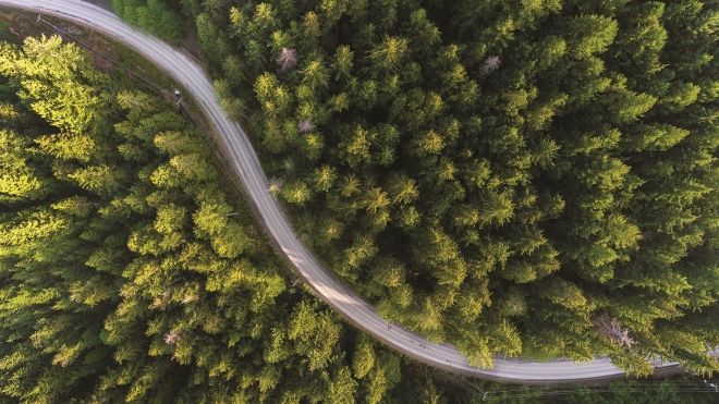 Aerial view of a road running through a dense forest