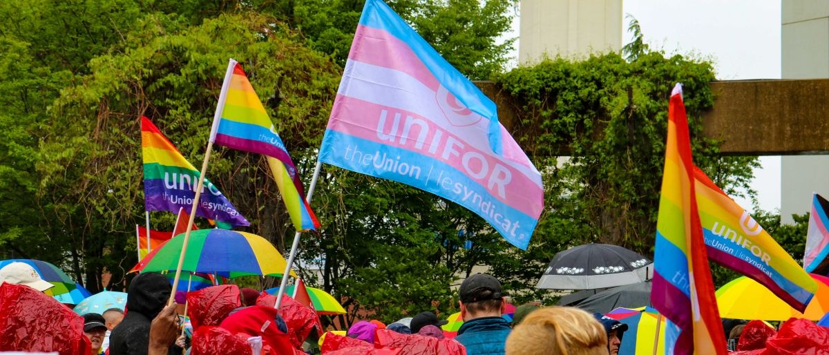 Rally group holing up trans and pride flags