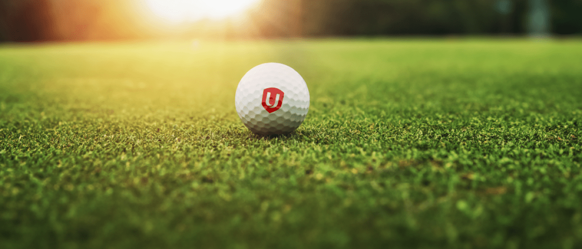 Golf ball on grass 